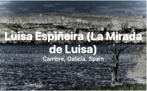 dark landscape of tree by a lake by Luisa Espeineira on CryptoArtNet